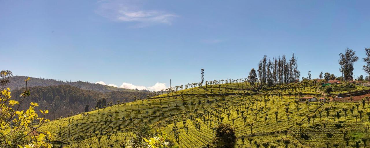 Club Mahindra Derby Green, Ooty Bagian luar foto